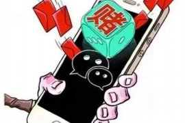 塔城塔城的要账公司在催收过程中的策略和技巧有哪些？